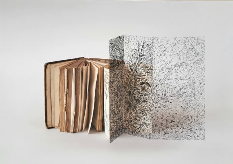 Bertrand Flachot Excroissance(s) XXIII, 2023