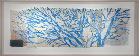 Tree Tops Collage