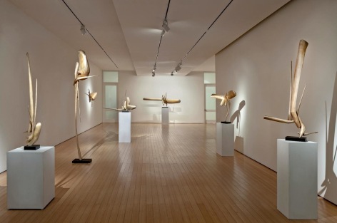  Gallery View
