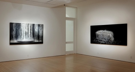 Gallery View