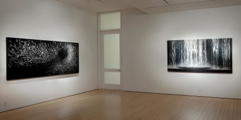 Gallery View