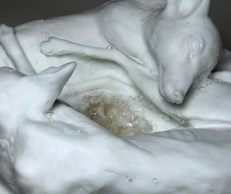 Sibylle Peretti Urban Foxes, (Detail)  2016