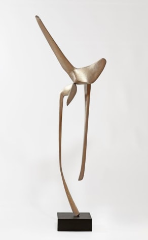 David Borgerding VELAKOR, 2017