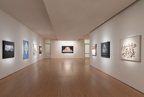 George Dunbar gallery view Callan Contemporary 2022