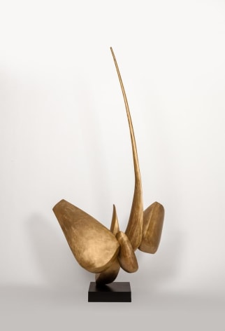 David Borgerding PYRST , 2017