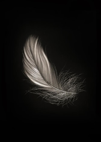 Aloft I
