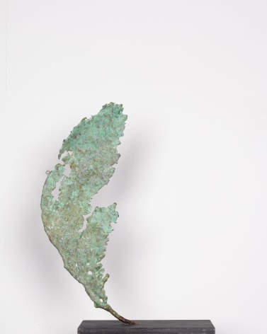Raine Bedsole Reef Wing, 2024