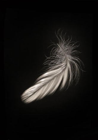 Aloft II