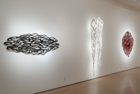 Gallery View