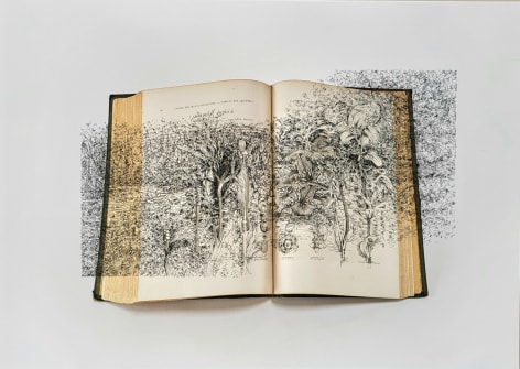 Bertrand Flachot Excroissance(s) XII, 2022