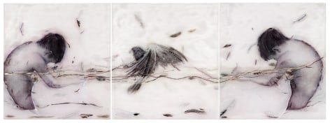 Holding Birds carved, engraved, silvered and painted plexiglass, feathers, paper