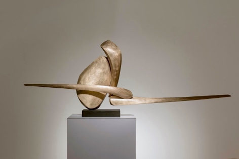 David Borgerding NEISPRI, 2017