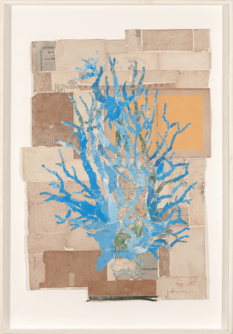 Blue Coral II