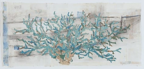 Coral Reef paper, plaster, maps, charcoal