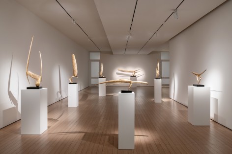David Borgerding Callan Contemporary