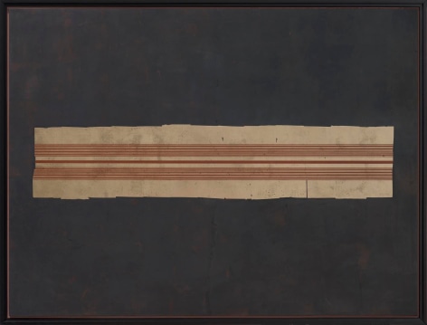 Coreopsis - Alluvion Series