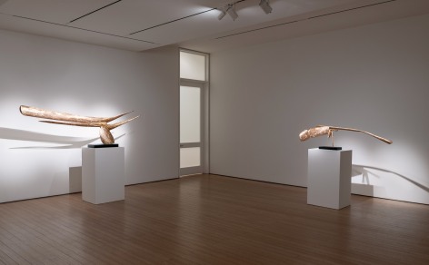 David Borgerding Callan Contemporary