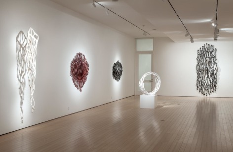 Gallery View