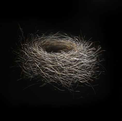 Bluebird Nest incised painted aluminum
