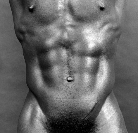 Charles Bowman's torso and chest.