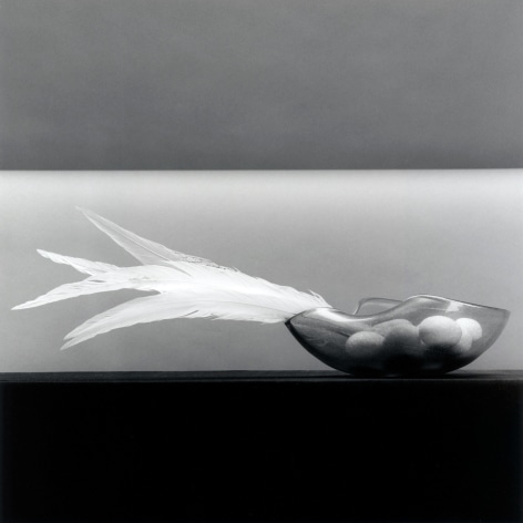 Feathers and Eggs, 1985