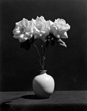 Three roses in a vase.