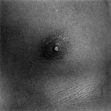 Black male nude's nipple.