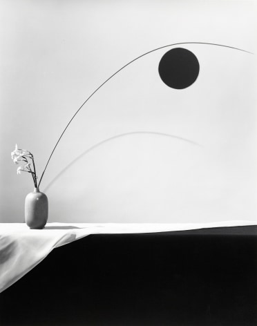 Flower, 1983