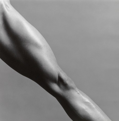 Lisa Lyon's leg at a diagonal.