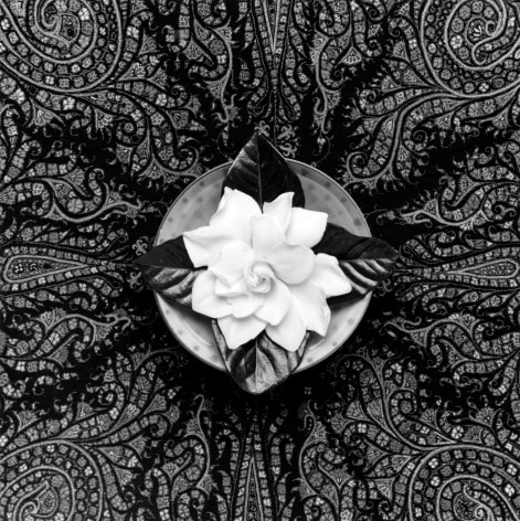 View from above of a white gardenia on a small spotted plate sitting on paisley fabric.