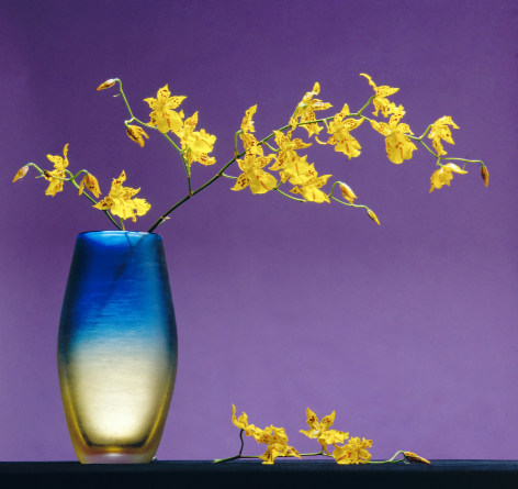 Yellow flowers in a blue and yellow glass vase extending across a purple background.