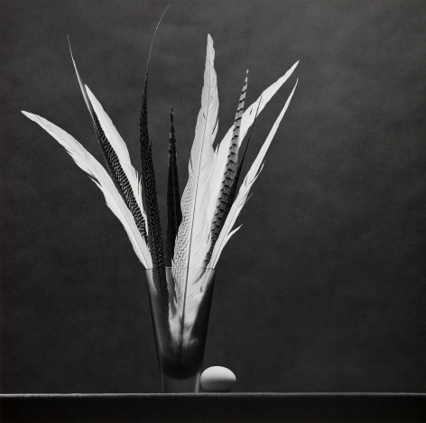 Feathers in large glass on table next to a single egg.