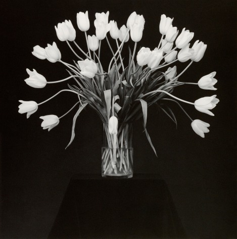 Bouquet of Tulips atop small black table.