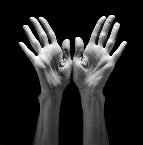 Two hands reaching up towards the light.