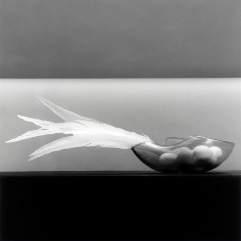 Feather and Eggs, 1985