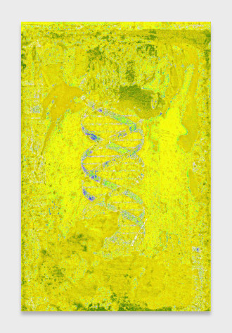 Philip Smith, DNA Yellow