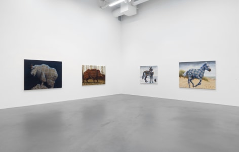 Four paintings of various American animals with tartan patterned fur hang side by side: a mountain goat, a boar, a coyote with a crow, and a horse.
