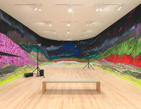 Installation view, In This Land in New Work: Rodney McMillian, San Francisco Museum of Modern Art, San Francisco, CA, 2019