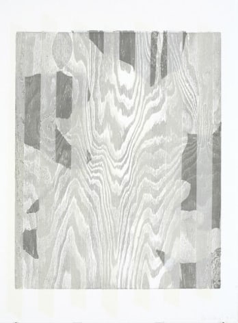 Untitled 2007 Silkscreen, woodcut on paper