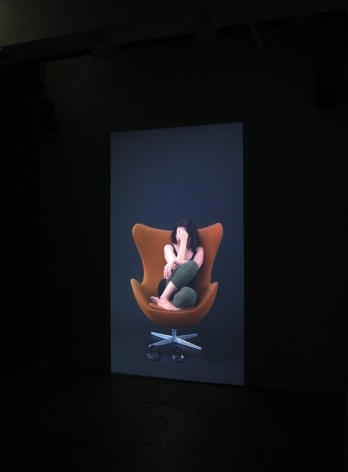 Andrea Fraser Projection