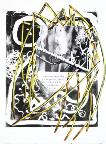 Untitled 2007 Lithograph, watercolor, collage on paper