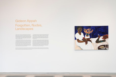 Gideon Appah Installation view of&nbsp;Forgotten, Nudes, Landscapes at&nbsp;Institute for Contemporary Art at VCU in Richmond, VA, 2022&nbsp;