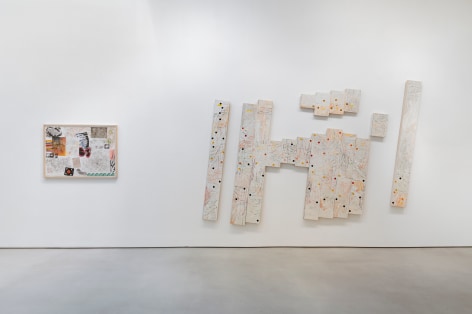 NANCY GRAVES Installation view of Mapping at Mitchell-Innes &amp; Nash, New York, 2019