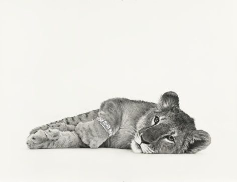 KARL HAENDEL  Lion Cub 3  2020