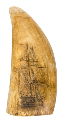 Large Whales Tooth with Bow and Stern View of the Ship &quot;Mary&quot; of Boston, Third Quarter 19th Century