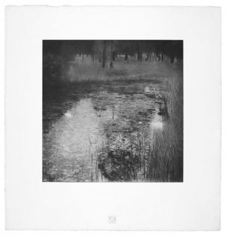 The Swamp from Das Werk Gustav Klimts printed in 1908-1914