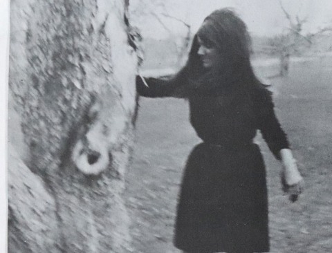Jean Freeman Gallery image sheets + press release for the exhibition “Idra”, Alternate Projects