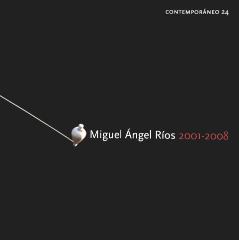 Miguel Angel Ríos