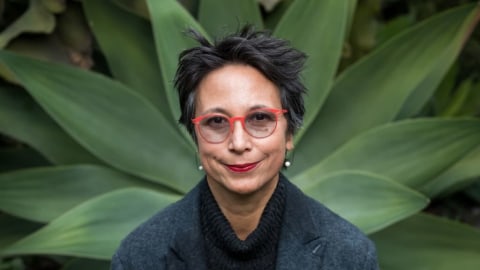 The amazing Maria Fernanda Cardoso: Interview with the Sydney Morning Herald