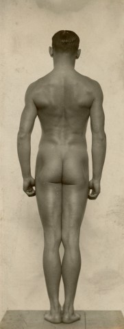 HANS BITTERLICH (AUSTRIAN, 1860&ndash;1949) MALE NUDE STUDIES FOR SCULPTURES